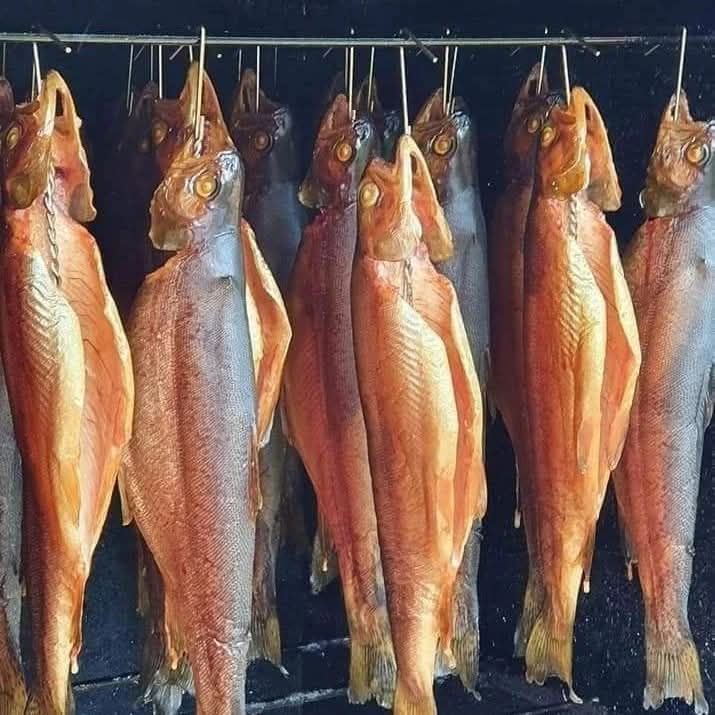 Geräucherte Forellen